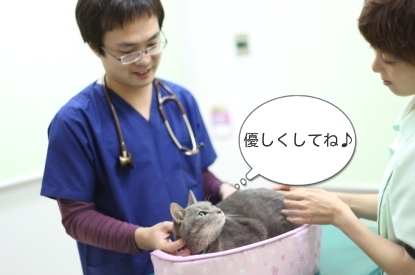 猫の診察2
